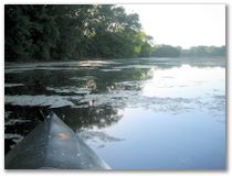 Kayak Trip #4 - Sunfish Lake, Eagan, MN