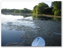 Kayak Trip #4 - Sunfish Lake, Eagan, MN