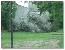 Storm Damage - Eagan