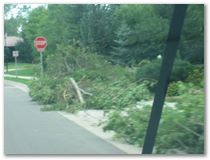 Storm Damage - Eagan