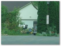 Storm Damage - Eagan