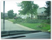 Storm Damage - Eagan