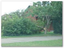 Storm Damage - Eagan